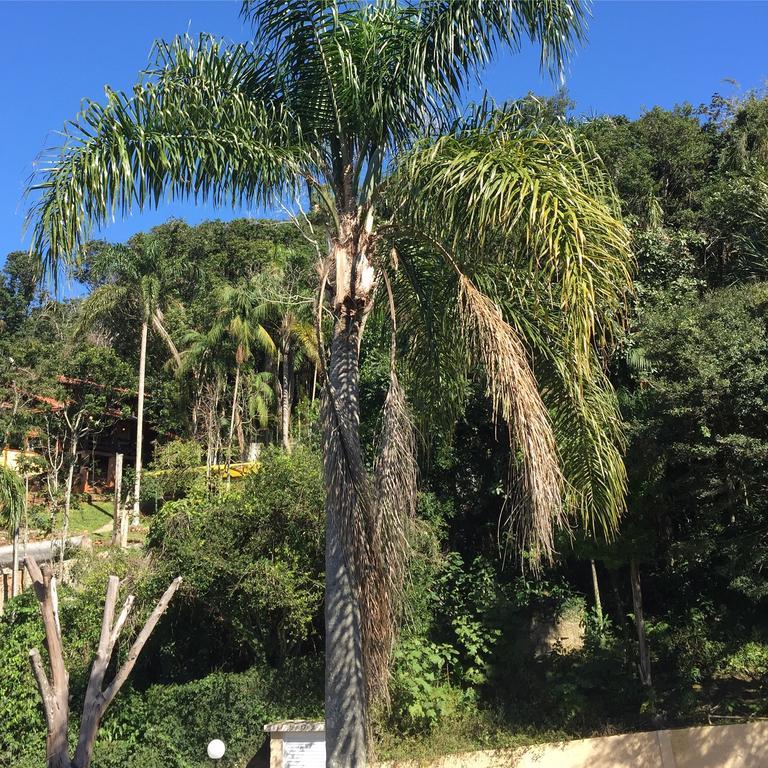 ホテル Casa Figueira Na Pedra フロリアノポリス エクステリア 写真